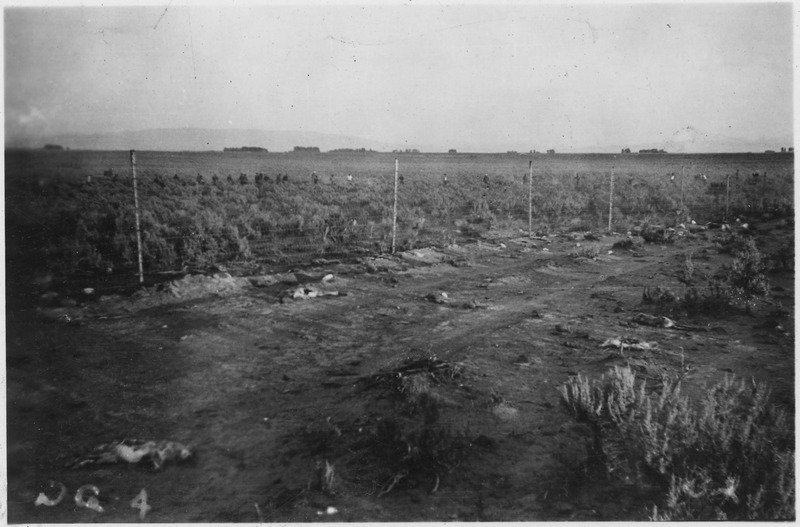 File:Rodent Control. A rabit drive is on^ THe men can be seen beating the brush in the background. By looking closely one... - NARA - 298359.tif