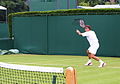 Roger Federer à l'entraînement à Wimbledon.