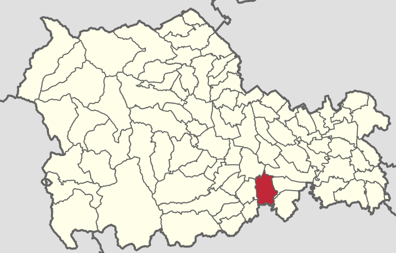 File:Români in the Neamț County.svg