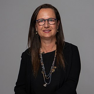 <span class="mw-page-title-main">Ronit Kark</span> Organisational psychologist and academic