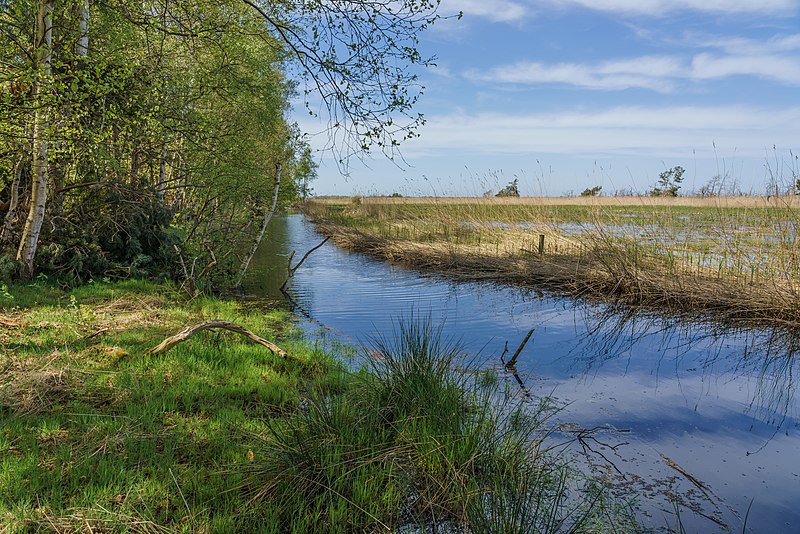 File:Rostock asv2018-05 img74 Huetelmoor.jpg