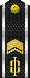 Russia-Navy-OR-8-1994-everyday.svg