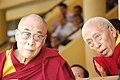 S Rinpoche 160 (15039342732).jpg