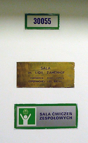 Bahaa Esperanto-Ligo: Bahaa principo de Internacia Help-Lingvo, Unuaj aperoj de Esperanto en la Bahaa Komunumo, La Nova Tago