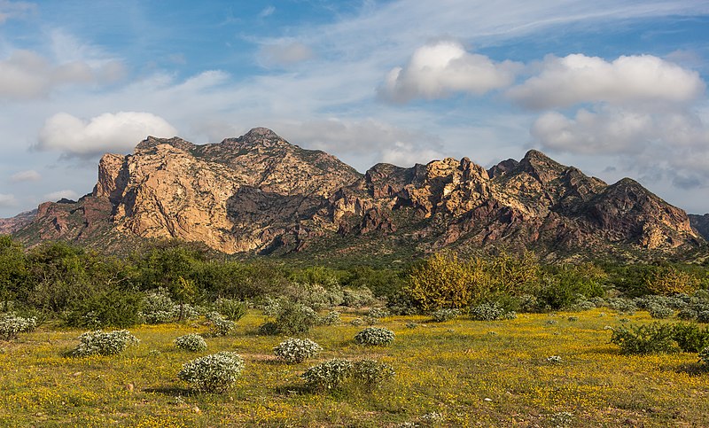 File:San Carlos Sonora landscape.jpg