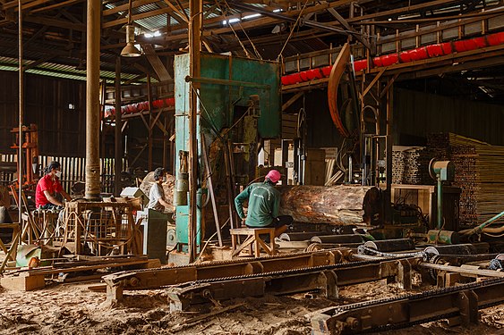 Workers are cutting big timbers into planks in a sawmill in Sandakan, Malaysia