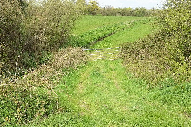 File:Sandmead Rhyne - geograph.org.uk - 5062544.jpg