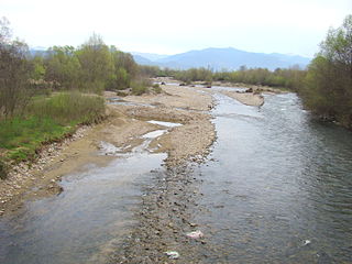 <span class="mw-page-title-main">Crișul Pietros</span> River in Bihor County, Romania