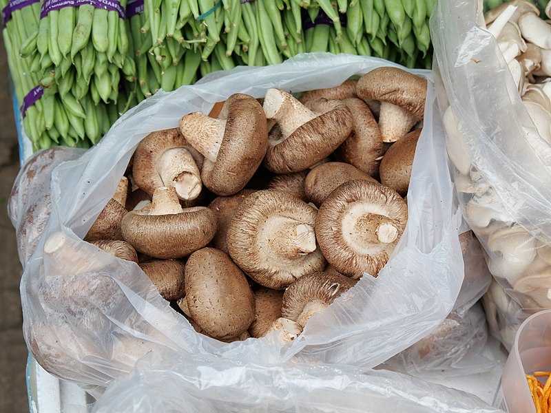 File:Shiitake mushroom in Vegetable store in Yuen Long.jpg