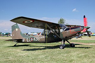 <span class="mw-page-title-main">SIAI-Marchetti SM.1019</span> Italian STOL liaison monoplane by SIAI-Marchetti