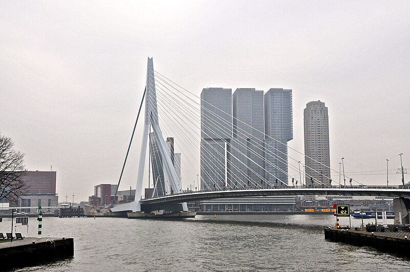 File:Skyline Rotterdam Zuid (16352085527).jpg