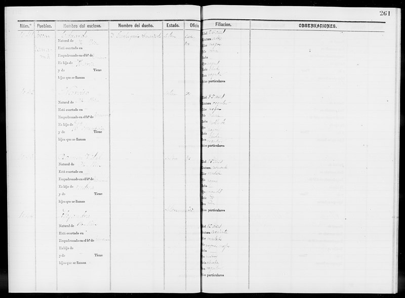 File:Slave Schedules for District 2, Arecibo(...) - NARA - 63809986 (page 261).jpg