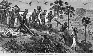 Arab-Swahili slave traders and their captives on the Ruvuma River in East Africa, 19th century Slaves ruvuma.jpg