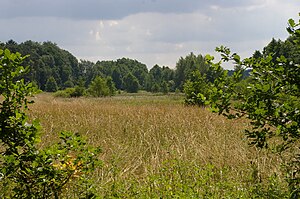 Das Speckenbachtal nordöstlich von Borstel