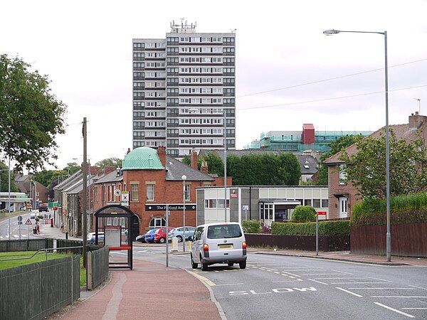 View into Central Felling