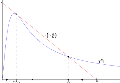 Trouver des points d'équilibre dans le système de la tordeuse des bourgeons de l'épinette (deuxième bifurcation nœud-selle)