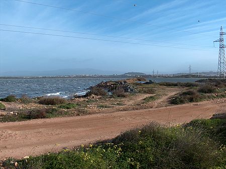 Stagno di cagliari g4.jpg