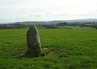 Standing Stone and Pasture