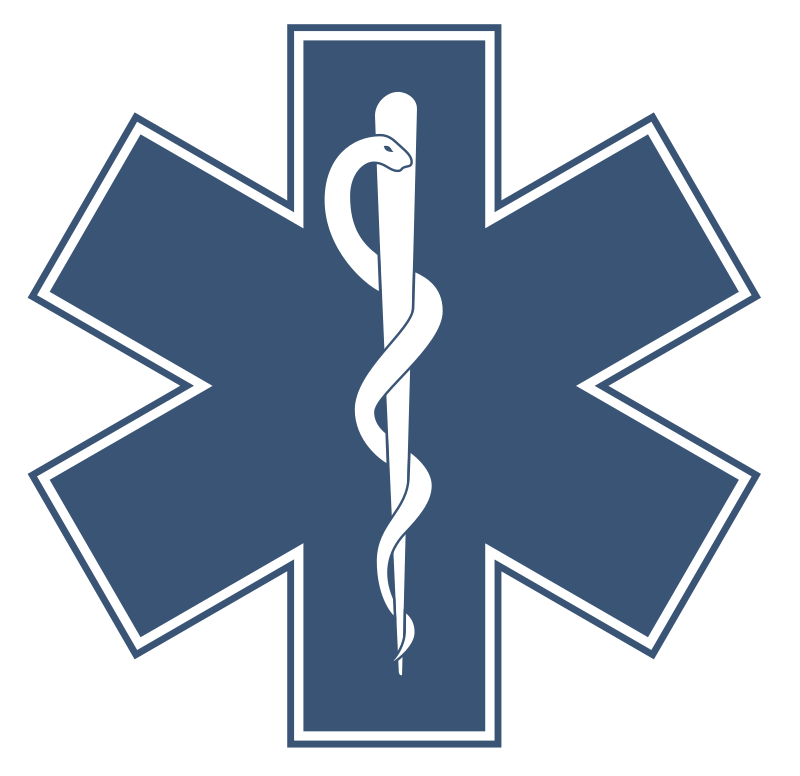 Ambulance Icon Vector Sign and Symbol Isolated on White Background, Ambulance  Logo Concept Stock Vector - Illustration of emergency, sign: 134335240