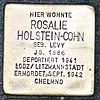 Stolperstein Rosalie Holstein-Cohn Wuppertal.jpg