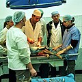 Surgery on a dog, University of Agricultural Sciences and Veterinary Medicine, Cluj-Napoka.jpg