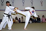 Miniatura per Taekwondo