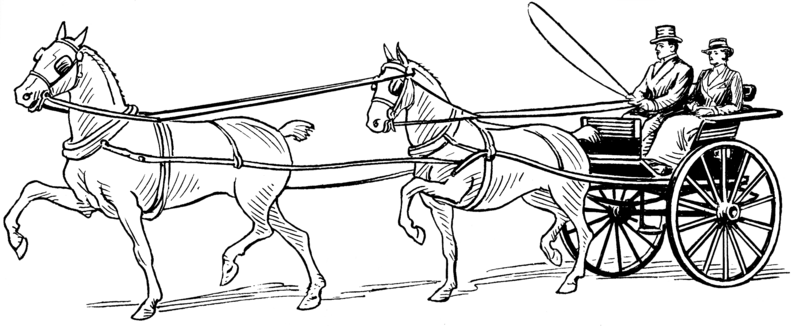 File:Tandem Horse (PSF).png