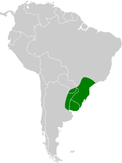 Distribución geográfica de la tangara preciosa.