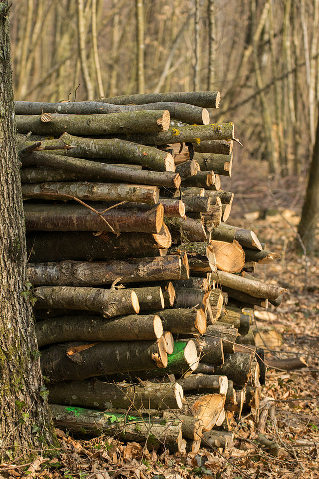 De bois перевод