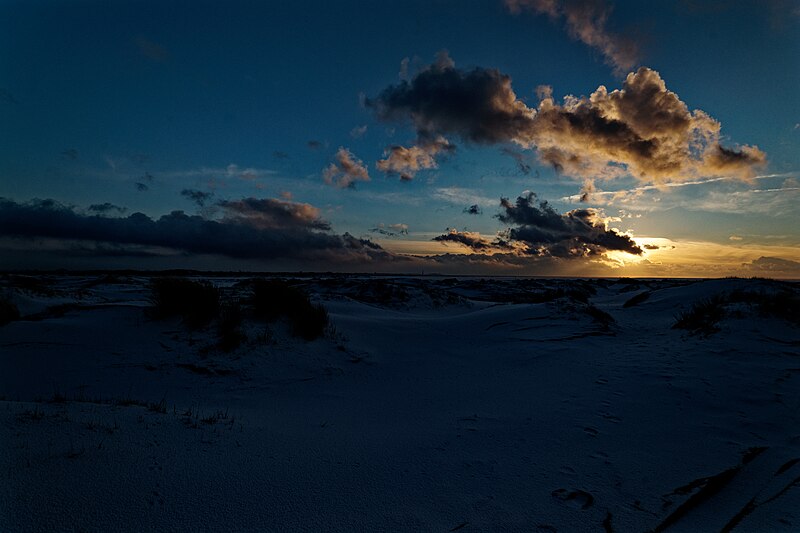 File:Texel - De Hors - Winter of December 2010 02.jpg