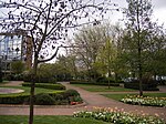 St Thomas’ Peace Garden