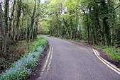 The road into California Country Park - geograph.org.uk - 3012750.jpg