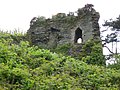 Thumbnail for File:The ruined part of Newport Castle - geograph.org.uk - 1896776.jpg