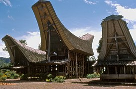 Tongkonan houses of the Toraja people with the distinctive saddleback roofs reminiscent of boats[169]