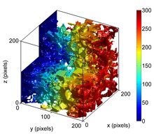 Tortuosity calculation from an x-ray tomography reconstruction of a porous sandstone (the pores are shown): the color represents the shortest distance within the pore space from the left limit of the image to any point in the pores. Comparing this distance to the straight-line distance shows that the tortuosity is about 1.5 for this sample. It has been demonstrated that the tortuosity increases when the porosity decreases. Tortuosity via geodesic distance calculation.tif