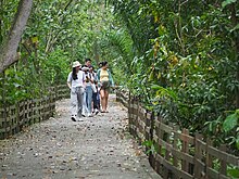 Visitors in the park Tourists visiting Sungei Buloh Wetlands.jpg