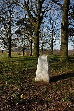 Trig point on Bringsty Common - geograph.org.uk - 689113