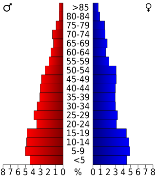 Schéma représentant la population du comté, par tranche d'âge. En rouge, à gauche, les femmes, en bleu à droite, les hommes.