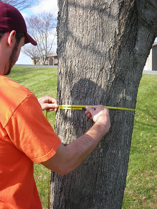 Circumference / Diameter measuring tape