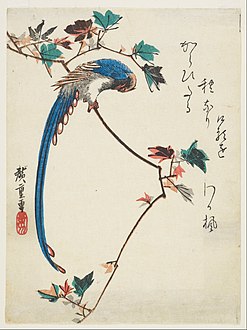 Kachō-e ”Sininen harakka vaahteranoksalla”, Freer Gallery of Art, Washington DC.[13]
