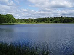 Vardsjön, vy från rastplatsen.