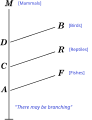 תמונה ממוזערת לגרסה מ־12:21, 27 ביוני 2022