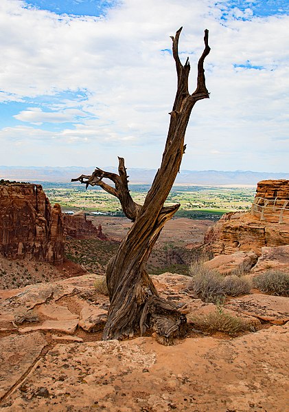 File:View from Rim Rock Drive (7f96286a-d93f-4811-a454-b1ff08d40533).jpg