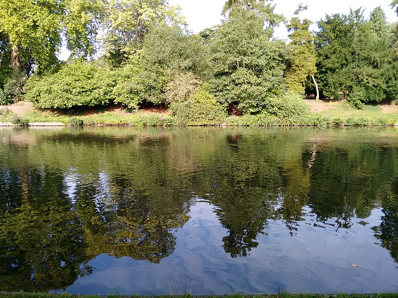 File:View from the bench (OpenBenches 1770-1).jpg