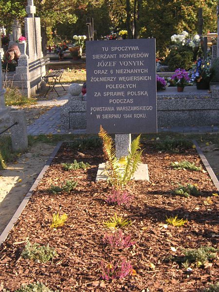 Graves of a Royal Hungarian Army captain and 6 of his men who fell, fighting on the Polish side in Warsaw uprising 1944