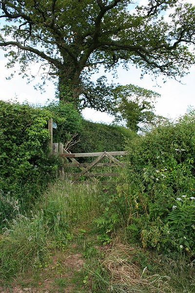 File:Washfield, footpath to Stanterton Wood - geograph.org.uk - 186881.jpg