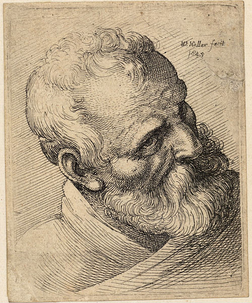 File:Wenceslas Hollar - Bearded old man with a wart.jpg
