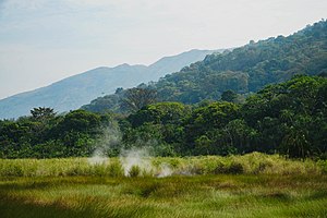 Aus einer heißen Quelle im Semliki-Nationalpark steigt Dampf auf