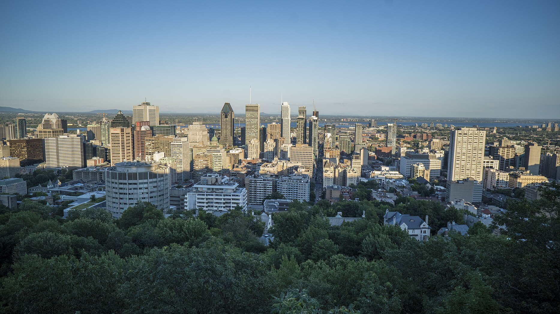 Montreal skyline from Wikimania 2017