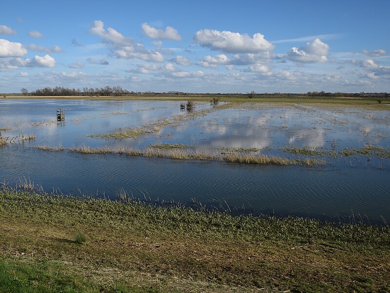 File:Wildfowlers' hides on the Ouse Washes - geograph.org.uk - 4852390.jpg